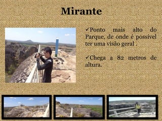 Mirante
Ponto mais alto do
Parque, de onde é possível
ter uma visão geral .
Chega a 82 metros de
altura.
 