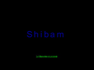 Shibam La Manhattan del desierto 
