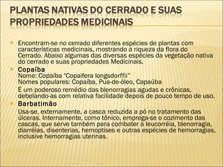 Encontram-se no cerrado diferentes espécies de plantas com características medicinais, mostrando a riqueza da flora do Cerrado. Abaixo algumas das diversas espécies da vegetação nativa do cerrado e suas propriedades Medicinais.  Copaíba Nome: Copaíba "Copaifera longsdorffii” Nomes populares: Copaíba, Pua-de-óleo, Capaúba É um poderoso remédio das blenorragias agudas e crônicas, debelando-as com relativa facilidade depois de pouco tempo de uso.  Barbatimão Usa-se, externamente, a casca reduzida a pó no tratamento das úlceras. Internamente, como tônico, emprega-se o cozimento das cascas, que serve também para combater a leucorréia, blenorragia, diarréias, disenterias, hemoptises e outras espécies de hemorragias, inclusive hemorragias uterinas. 