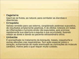 Cagaiteira Usam-se os frutos, ao natural, para combater as diarréias e disenterias. Cirtopódio Valioso remédio para uso externo, considerado poderoso supurativo, de resultados amplamente positivos. É de efeitos notáveis em todas as inflamações e tumores ainda não supurados, pois promove rapidamente sua abertura e expulsa o pus acumulado, fazendo cessar as dores e dando ao paciente extraordinário alívio. Umbaúba É aconselhado no tratamento da bronquite, tosses, coqueluche e outras afecções vias respiratórias. Tem ação especial sobre o coração, aumentando de modo acentuado as contrações do músculo cardíaco, motivo pelo o qual requer muito cuidado. 