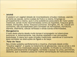 Jatobá O jatobá é um vegetal dotado de incontestáveis virtudes médicas, usando-se tanto as cascas, como a polpa do fruto e a resina. Emprega-se principalmente a resina, que é uma substância possuidora de maior poder medicinal, sendo muito recomendadas contra as hepatites, fraqueza geral, tosses, bronquites, asma, fraqueza pulmonar, laringites, etc. As, cascas em cozimento, são aconselhadas para combater as hemoptises, hematúria, diarréia, disenteria, cólicas ventosas e várias outras enfermidades. Mangabeira O leite desta planta desde muito tempo é empregado na tuberculose pulmonar, e, extremamente, nas úlceras rebeldes e nas corrupções pustulosas. A casca tem suas virtudes medicinais, usando-se o cozimento para combater as obstruções do fígado e do baço.   Pata de Vaca Seu intrato substitui perfeitamente a insulina, chamada desde então “insulina vegetal”, é usada no tratamento de glicosúrias. Usa-se ainda o chá das folhas, como medicação popular na diabete. A infusão ou cozimento, quando judiciosamente empregada, combate o açúcar na urina, permitindo, destarte, que o diabético possa ter melhor alimentação de hidrocarbonatos. 