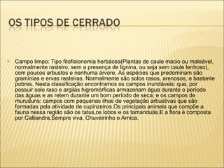 Campo limpo:  Tipo fitofisionomia herbácea( Plantas de caule macio ou maleável, normalmente rasteiro, sem a presença de lignina , ou seja sem caule lenhoso), com poucos arbustos e nenhuma árvore.  As espécies que predominam são gramínias e ervas rasteiras. Normalmente são solos rasos, arenosos, e bastante pobres. Nesta classificação encontramos os campos inundáveis: que, por possuir solo raso e argilas higromórficas armazenam água durante o período das águas e as retem durante um bom período de seca; e os campos de muruduns: campos com pequenas ilhas de vegetação arbustivas que são formadas pela atividade de cupinzeiros.Os principais animais que compõe a fauna nessa região são os tatus,os lobos e os tamanduás.E a flora é composta por Calliandra,Sempre viva, Chuveirinho e Arnica.   
