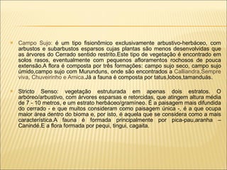 Campo Sujo:  é um tipo fisionômico exclusivamente arbustivo-herbáceo, com arbustos e subarbustos esparsos cujas plantas são menos desenvolvidas que as árvores do Cerrado sentido restrito.Este tipo de vegetação é encontrado em solos rasos, eventualmente com pequenos afloramentos rochosos de pouca extensão.A flora é composta por três formações: campo sujo seco, campo sujo úmido,campo sujo com Murunduns, onde são encontrados a  Calliandra,Sempre viva, Chuveirinho e Arnica .Já a fauna é composta por tatus,lobos,tamanduás.  Stricto Senso:  vegetação estruturada em apenas dois estratos. O arbóreo/arbustivo, com árvores esparsas e retorcidas, que atingem altura média de 7 - 10 metros, e um estrato herbáceo/gramíneo. É a paisagem mais difundida do cerrado - e que muitos consideram como paisagem única -, é a que ocupa maior área dentro do bioma e, por isto, é aquela que se considera como a mais característica. A fauna é formada principalmente por pica-pau,aranha – Canindé.E a flora formada por pequi, tingui, cagaita. 