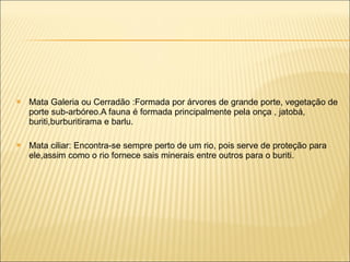 Mata Galeria ou Cerradão :Formada por árvores de grande porte,  vegetação de porte sub-arbóreo .A fauna é formada principalmente pela onça , jatobá, buriti,burburitirama e barlu. Mata ciliar: Encontra-se sempre perto de um rio, pois serve de proteção para ele,assim como o rio fornece sais minerais entre outros para o buriti.  