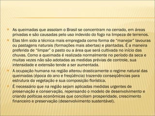 As queimadas que assolam o Brasil se concentram no cerrado, em áreas privadas e são causadas pelo uso indevido do fogo na limpeza de terrenos. Elas têm sido a técnica mais empregada como forma de “manejar” lavouras ou pastagens naturais (formações mais abertas) e plantadas. É a maneira preferida de “limpar” o pasto ou a área que será cultivada no início das chuvas. Como a queimada é realizada normalmente no período da seca e muitas vezes não são adotadas as medidas prévias de controle, sua intensidade e extensão tende a ser aumentada. A ocupação humana na região alterou drasticamente o regime natural das queimadas (época do ano e freqüência) trazendo conseqüências para estrutura da vegetação e sua composição florística. É necessário que na região sejam aplicadas medidas urgentes de preservação e conservação, repensando o modelo de desenvolvimento e criando políticas econômicas que conciliam prosperidade, crescimento financeiro e preservação (desenvolvimento sustentável). 