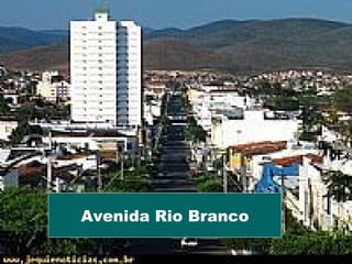 Avenida Rio Branco
 