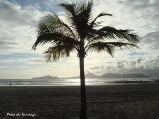 Praia do Gonzaga
 