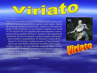 Viseu está associada à figura de Viriato, já que se pensa que este herói lusitano tenha talvez nascido nesta região. Depois da ocupação romana na península, seguiu-se a elevação da cidade a sede de diocese, já em domínio visigótico, no século VI. No século VIII, foi ocupada pelos muçulmanos, como a maioria das povoações ibéricas e, durante a Reconquista da península, foi alvo de ataques e contra-ataques alternados entre cristãos e muçulmanos. De destacar a morte de D. Afonso V rei de Leão e Galiza no cerco a Viseu em 1027 morto por uma flecha oriunda da muralha árabe (cujos vestígios seguem a R. João Mendes, Largo de Santa Cristina e sobem pela R. Formosa). A reconquista definitiva caberia a Fernando Magno, rei de Leão e Castela depois de assassinar em 1037 o legítimo Rei Bermudo III (filho de Afonso V) vencedor da batalha de Cesar em 1035 (segundo a crónica dos Godos). Viriato Viriato 