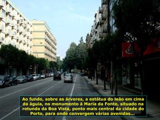 Ao fundo, sobre as árvores, a estátua do leão em cima da águia, no monumento à Maria da Fonte, situado na rotunda da Boa Vista, ponto mais central da cidade do Porto, para onde convergem várias avenidas...  