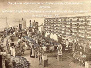 Secção de engarrafamento dos vinhos de Constantino d’
Almeida.
Note-se o trajo das operárias: a saia até aos pés das garrafeiras
do início do séc. XX.
 
 