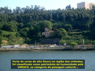 Parte do curso do alto Douro na região dos vinhedos,
foi classificado como patrimônio da humanidade pela
UNESCO, na categoria de paisagem cultural...
 