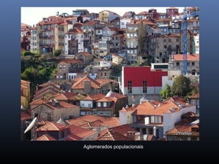 Aglomerados populacionais
 