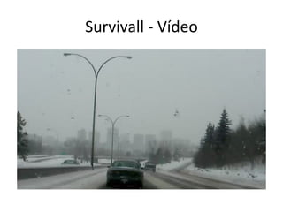 Survivall - Vídeo 