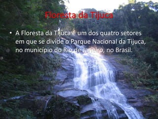 Floresta da Tijuca
• A Floresta da Tijuca é um dos quatro setores
em que se divide o Parque Nacional da Tijuca,
no município do Rio de Janeiro, no Brasil.
 