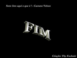 FIM Criação: Thy Exclusiv Som: Isto aqui o que é ! - Caetano Veloso 