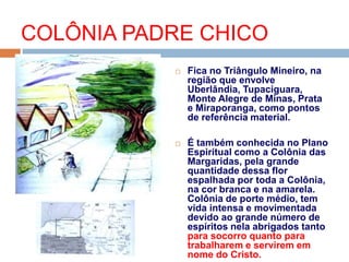  Fica no Triângulo Mineiro, na
região que envolve
Uberlândia, Tupaciguara,
Monte Alegre de Minas, Prata
e Miraporanga, como pontos
de referência material.
 É também conhecida no Plano
Espiritual como a Colônia das
Margaridas, pela grande
quantidade dessa flor
espalhada por toda a Colônia,
na cor branca e na amarela.
Colônia de porte médio, tem
vida intensa e movimentada
devido ao grande número de
espíritos nela abrigados tanto
para socorro quanto para
trabalharem e servirem em
nome do Cristo.
COLÔNIA PADRE CHICO
 