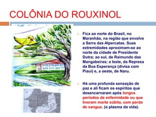  Fica ao norte do Brasil, no
Maranhão, na região que envolve
a Serra das Alpercatas. Suas
extremidades aproximam-se ao
norte da cidade de Presidente
Dutra; ao sul, de Raimundo das
Mangabeiras; a leste, da Represa
da Boa Esperança (divisa com
Piauí) e, a oeste, de Naru.
 Há uma profunda sensação de
paz e ali ficam os espíritos que
desencarnaram após longos
períodos de enfermidade ou que
tiveram morte súbita, com perda
de sangue. (o plasma da vida).
COLÔNIA DO ROUXINOL
 