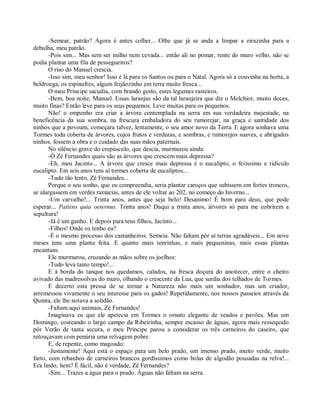 -Semear, patrão? Agora é antes colher... Olhe que já se anda a limpar a eirazinha para a
debulha, meu patrão.
       -Pois sim... Mas sem ser milho nem cevada... então ali no pomar, rente do muro velho, não se
podia plantar uma fila de pessegueiros?
       O riso do Manuel crescia.
       -Isso sim, meu senhor! Isso é lá para os Santos ou para o Natal. Agora só a couvinha na horta, a
beldroega, os espinafres, algum feijãozinho em terra muito fresca...
       O meu Príncipe sacudiu, com brando gesto, estes legumes rasteiros.
       -Bem, boa noite, Manuel. Essas laranjas são da tal laranjeira que diz o Melchior, muito doces,
muito finas? Então leve para os seus pequenos. Leve muitas para os pequenos.
       Não! o empenho era criar a árvore contemplada na serra em sua verdadeira majestade, na
beneficência da sua sombra, na frescura embaladora do seu rumorejar, na graça e santidade dos
ninhos que a povoam, começara talvez, lentamente, o seu amor novo da Terra. E agora sonhava uma
Tormes toda coberta de árvores, cujos frutos e verduras, e sombras, e rumorejos suaves, e abrigados
ninhos, fossem a obra e o cuidado das suas mãos paternais.
       No silêncio grave do crepúsculo, que descia, murmurou ainda:
       -Ó Zé Fernandes quais são as árvores que crescem mais depressa?
       -Eh, meu Jacinto... A árvore que cresce mais depressa é o eucalipto, o feiíssimo e ridículo
eucalipto. Em seis anos tens aí tormes coberta de eucaliptos...
       -Tudo tão lento, Zé Fernandes...
       Porque o seu sonho, que eu compreendia, seria plantar caroços que subissem em fortes troncos,
se alargassem em verdes ramarias, antes de ele voltar ao 202, no começo do Inverno...
       -Um carvalho!... Trinta anos, antes que seja belo! Desanimo! É bom para deus, que pode
esperar... Patiens quia oeternus. Trinta anos! Daqui a trinta anos, árvores só para me cobrirem a
sepultura!
       -Já é um ganho. E depois para teus filhos, Jacinto...
       -Filhos! Onde os tenho eu?
       -É o mesmo processo dos castanheiros. Semeia. Não faltam pôr aí terras agradáveis... Em nove
meses tens uma planta feita. E quanto mais tenrinhas, e mais pequeninas, mais essas plantas
encantam.
       Ele murmurou, cruzando as mãos sobre os joelhos:
       -Tudo leva tanto tempo!...
       E à borda do tanque nos quedamos, calados, na fresca doçura do anoitecer, entre o cheiro
avivado das madressilvas do muro, olhando o crescente da Lua, que surdia dos telhados de Tormes.
       E decerto esta pressa de se tornar a Natureza não mais um sonhador, mas um criador,
arremessou vivamente o seu interesse para os gados! Repetidamente, nos nossos passeios através da
Quinta, ele lhe notava a solidão.
       -Faltam aqui animais, Zé Fernandes!
       Imaginava eu que ele apetecia em Tormes o ornato elegante de veados e pavões. Mas um
Domingo, costeando o largo campo da Ribeirinha, sempre escasso de águas, agora mais ressequido
pôr Verão de tanta secura, o meu Príncipe parou a considerar os três carneiros do caseiro, que
retouçavam com penúria uma relvagem pobre.
       E, de repente, como magoado:
       -Justamente! Aqui está o espaço para um belo prado, um imenso prado, muito verde, muito
farto, com rebanhos de carneiros brancos gordíssimos como bolas de algodão pousadas na relva!...
Era lindo, hem? É fácil, não é verdade, Zé Fernandes?
       -Sim... Trazes a água para o prado. Águas não faltam na serra.
 