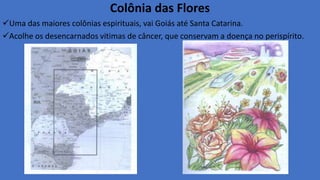 Colônia das Flores
Uma das maiores colônias espirituais, vai Goiás até Santa Catarina.
Acolhe os desencarnados vitimas de câncer, que conservam a doença no perispírito.
 