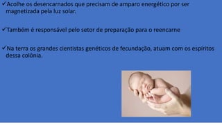 Acolhe os desencarnados que precisam de amparo energético por ser
magnetizada pela luz solar.
Também é responsável pelo setor de preparação para o reencarne
Na terra os grandes cientistas genéticos de fecundação, atuam com os espíritos
dessa colônia.
 
