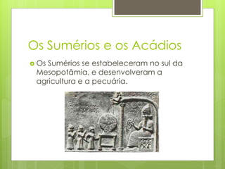 Os Sumérios e os Acádios
 Os Sumérios se estabeleceram no sul da
Mesopotâmia, e desenvolveram a
agricultura e a pecuária.
 