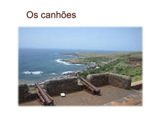Os canhões