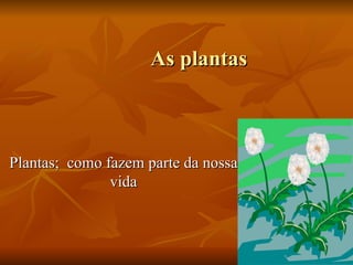 As plantas Plantas;  como fazem parte da nossa vida 