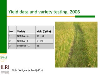 Rice value chain development 2005-2011: IPMS experiences in Fogera pilot learning woreds