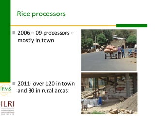 Rice value chain development 2005-2011: IPMS experiences in Fogera pilot learning woreds