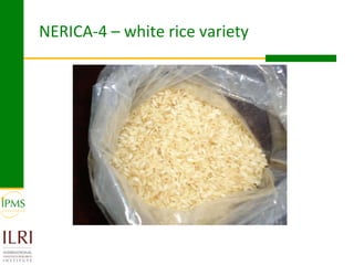 Rice value chain development 2005-2011: IPMS experiences in Fogera pilot learning woreds