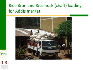 Rice value chain development 2005-2011: IPMS experiences in Fogera pilot learning woreds