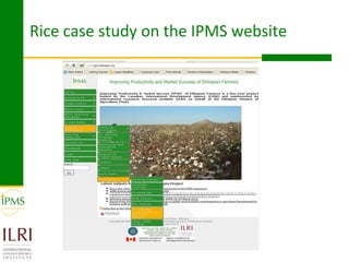 Rice value chain development 2005-2011: IPMS experiences in Fogera pilot learning woreds