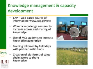 Rice value chain development 2005-2011: IPMS experiences in Fogera pilot learning woreds