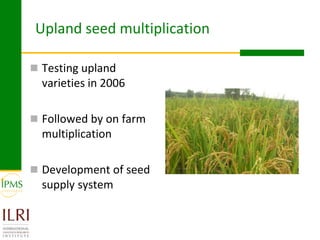 Rice value chain development 2005-2011: IPMS experiences in Fogera pilot learning woreds