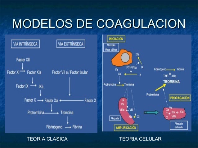 Cid coagulacion intravascular diseminada