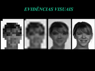 EVIDÊNCIAS VISUAIS
 