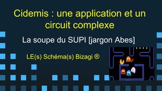 La soupe du SUPI [jargon Abes]
LE(s) Schéma(s) Bizagi ®
Cidemis : une application et un
circuit complexe
 