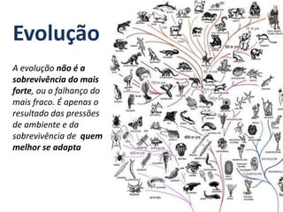 Evolução
A evolução não é a
sobrevivência do mais
forte, ou o falhanço do
mais fraco. É apenas o
resultado das pressões
de ambiente e da
sobrevivência de quem
melhor se adapta
 