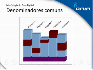 Infra-estrutura
Morfologia do Gaia Digital
Denominadores comuns
 
