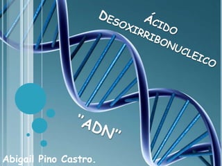         Ácido Desoxirribonucleico  ‘’ADN’’ Abigail Pino Castro. 