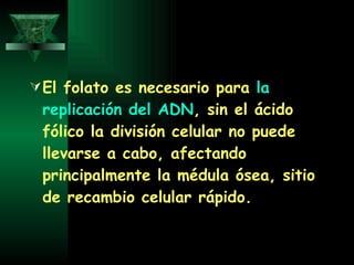 El folato es necesario para  la replicación del ADN , sin el ácido fólico la división celular no puede llevarse a cabo, afectando principalmente la médula ósea, sitio de recambio celular rápido. 