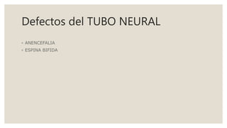 Defectos del TUBO NEURAL
◦ ANENCEFALIA
◦ ESPINA BIFIDA
 