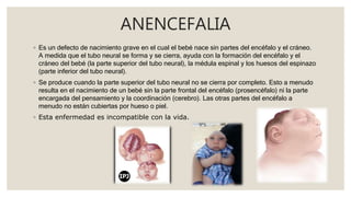 ANENCEFALIA
◦ Es un defecto de nacimiento grave en el cual el bebé nace sin partes del encéfalo y el cráneo.
A medida que el tubo neural se forma y se cierra, ayuda con la formación del encéfalo y el
cráneo del bebé (la parte superior del tubo neural), la médula espinal y los huesos del espinazo
(parte inferior del tubo neural).
◦ Se produce cuando la parte superior del tubo neural no se cierra por completo. Esto a menudo
resulta en el nacimiento de un bebé sin la parte frontal del encéfalo (prosencéfalo) ni la parte
encargada del pensamiento y la coordinación (cerebro). Las otras partes del encéfalo a
menudo no están cubiertas por hueso o piel.
◦ Esta enfermedad es incompatible con la vida.
 