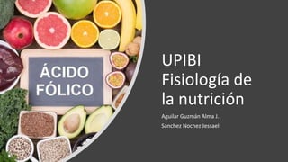 UPIBI
Fisiología de
la nutrición
Aguilar Guzmán Alma J.
Sánchez Nochez Jessael
 