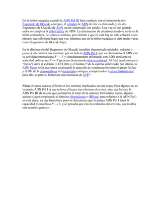 En la hebra rezagada, cuando la ADN Pol III hace contacto con el extremo de otro
fragmento de Okazaki contiguo, el cebador de ARN de éste es eliminado y los dos
fragmentos de Okazaki de ADN recién sintetizado son unidos. Una vez se han juntado
todos se completa la doble hélice de ADN. La eliminación de cebadores también se da en la
hebra conductora, de síntesis continua, pero debido a que en ésta hay un solo cebador es un
proceso que sólo tiene lugar una vez, mientras que en la hebra rezagada se dará tantas veces
como fragmentos de Okazaki haya.
En la eliminación del fragmento de Okazaki (también denominado iniciador, cebador o
primer) intervienen dos enzimas: por un lado la ADN Pol I, que va eliminando el ARN con
su actividad exonucleasa 5' → 3' y simultáneamente rellenando con ADN mediante su
actividad polimerasa 5' → 3' (proceso denominado nick-traslation). Al final queda rotura (o
"mella") entre el extremo 3'-OH libre y el fosfato 5' de la cadena sintetizada; por último, la
ADN ligasa sella esa rotura catalizando la reacción de condensación entre el grupo fosfato
y el OH de la desoxirribosa del nucleótido contiguo, completando el enlace fosfodiéster;
para ello, es preciso hidrolizar una molécula de ATP.2
Nota: diversos autores difieren en los enzimas implicados en esta etapa. Para algunos no es
la propia ADN Pol I la que rellena el hueco tras eliminar el primer, sino que lo hace la
ADN Pol III (la misma que polimeriza el resto de la cadena). Del mismo modo, algunos
autores siguen empleando el término ribonucleasa o (RNasa) para referirse a la ADN Pol I
en esta etapa, ya que hasta hace poco se desconocía que la propia ADN Pol I tenía la
capacidad exonucleasa 5' → 3, y se pensaba que esto lo realizaba otro enzima, que recibía
este nombre genérico.
 