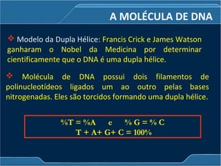  Modelo da Dupla Hélice: Francis Crick e James Watson
ganharam o Nobel da Medicina por determinar
cientificamente que o DNA é uma dupla hélice.
 Molécula de DNA possui dois filamentos de
polinucleotídeos ligados um ao outro pelas bases
nitrogenadas. Eles são torcidos formando uma dupla hélice.
%T = %A e % G = % C
T + A+ G+ C = 100%
A MOLÉCULA DE DNA
 