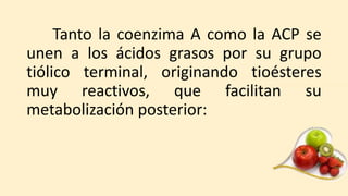 Tanto la coenzima A como la ACP se
unen a los ácidos grasos por su grupo
tiólico terminal, originando tioésteres
muy reactivos, que facilitan su
metabolización posterior:
 
