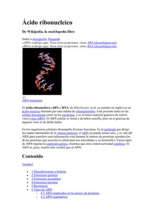 Ácido ribonucleico De Wikipedia, la enciclopedia libre Saltar a navegación, búsqueda «ARN» redirige aquí. Para otras acepciones, véase ARN (desambiguación). «RNA» redirige aquí. Para otras acepciones, véase RNA (desambiguación). ARN mensajero El ácido ribonucleico (ARN o RNA, de RiboNucleic Acid, su nombre en inglés) es un ácido nucleico formado por una cadena de ribonucleótidos. Está presente tanto en las células procariotas como en las eucariotas, y es el único material genético de ciertos virus (virus ARN). El ARN celular es lineal y de hebra sencilla, pero en el genoma de algunos virus es de doble hebra. En los organismos celulares desempeña diversas funciones. Es la molécula que dirige las etapas intermedias de la síntesis proteica; el ADN no puede actuar solo, y se vale del ARN para transferir esta información vital durante la síntesis de proteínas (producción de las proteínas que necesita la célula para sus actividades y su desarrollo). Varios tipos de ARN regulan la expresión génica, mientras que otros tienen actividad catalítica. El ARN es, pues, mucho más versátil que el ADN. Contenido[ocultar]1 Descubrimiento e historia2 Estructura química3 Estructura secundaria4 Estructura terciaria5 Biosíntesis6 Tipos de ARN 6.1 ARN implicados en la síntesis de proteínas6.2 ARN reguladores7 ARN con actividad catalítica8 ARN mitocondrial9 Genomas de ARN10 Hipótesis del mundo de ARN11 Referencias12 Véase también13 Enlaces externos Descubrimiento e historia [editar] Estructura química de un ribonicleótido Los ácidos nucleicos fueron descubiertos en 1868 por Friedrich Miescher, que los llamó nucleína ya que los aisló del núcleo celular.[1] Más tarde, se comprobó que las células procariotas, que carecen de núcleo, también contenían ácidos nucleicos. El papel del ARN en la síntesis de proteínas fue sospechado en 1939. [2] Severo Ochoa ganó el Premio Nobel de Medicina en 1959 tras descubrir cómo se sintetizaba el ARN.[3] En 1965 Robert W. Holley halló la secuencia de 77 nucleótidos de un ARN de transferencia de una levadura,[4] con lo que obtuvo el Premio Nobel de Medicina en 1968. En 1967, Carl Woese comprobó las propiedades catalíticas de algunos ARN y sugirio que las primeras formas de vida usaron ARN como portador de la información genética tanto como catalizador de sus reacciones metabólicas (hipótesis del mundo de ARN).[5] [6] En 1976, Walter Fiers y sus colaboradores determinaron la secuancia completa del ARN del genoma de un virus ARN (bacteriófago MS2).[7] En 1990 se descubrió en Petunia que genes introducidos pueden silenciar genes similares de la misma planta, lo que condujo al descubrimiento del ARN interferente.[8] [9] Aproximadamente al mismo tiempo se hallaron los micro ARN, pequeñas moléculas de 22 nucleótidos que tenían algún papel en el desarrollo de Caenorhabditis elegans.[10] El deescubrimiento de ARN que regulan la expresión génica ha permitido el desarrollo de medicamentos hechos de ARN, como los ARN pequeños de interferencia que silencian genes.[11] Estructura química [editar] Comparativa entre ARN y ADN Como el ADN, el ARN está formado por una cadena de monómeros repetitivos llamados nucleótidos. Los nucleótidos se unen uno tras otro mediante enlaces fosfodiéster cargados negativamente. Cada nucleótido uno está formado por una molécula de monosacárido de cinco carbonos (pentosa) llamada ribosa (desoxirribosa en el ADN), un grupo fosfato, y uno de cuatro posibles compuestos nitrogenados llamados bases: adenina, guanina, uracilo (timina en el ADN) y citosina. Comparación entre el ARN y el ADNARNADNPentosaRibosaDesoxirribosaPurinasAdenina y GuaninaAdenina y GuaninaPirimidinasCitosina y UraciloCitosina y Timina Los carbonos de la ribosa se numeran de 1' a 5' en sentido horario. La base nitrogenada se une al carbono 1'; el grupo fosfato se une al carbono 5' y al carbono 3' de la ribosa del siguiente nucleótido. El fosfato tiene una carga negativa a pH fisiológico lo que confiere al ARN carácter polianiónico. Las bases púricas (adenina y guanina) pueden formar puentes de hidrógeno con las pirimidínicas (uracilo y citosina) según el esquema C=G y A=U.[12] Además, son posibles otras interacciones, como el apilamiento de bases[13] o tetrabucles con apareamientos G=A.[12] Muchos ARN contienen además de los nucleótidos habituales, nucleótidos modificados, que se originan por tranformación de los nucleótidos típicos; son carcaterísticos de los ARN de transferencia (ARNt) y el ARN ribosómico (ARNr); también se encuentran nucleótidos metilados en el ARN mensajero eucariótico.[14] Estructura secundaria [editar] Apareamiento de bases complementarias en un ARN de hebra única A diferencia del ADN, las moléculas de ARN son de cadena simple y no suelen formar dobles hélices extensas. No obstante, sí se pliega como resultado de la presencia de regiones cortas con apareamiento intramolecular de bases, es decir, pares de bases formados por secuencias complementarias más o menos distantes dentro de la misma hebra. El ARNt poseen aproximadamente el 60% de bases apareadas en cuatro brazos con estructura de doble hélice.[14] Una importante característica estructural del ARN que lo distingue del ADN es la presencia de un grupo hidroxil en posición 2' de la ribosa, que causa que las dobles hélices de ARN adopten una conformación A, en vez de la conformación B que es la más común en el ADN.[15] Esta hélice A tiene un surco mayor muy profundo y estrecho y un surco menor amplio y superficial.[16] Una segunda consecuencia de la presencia de dicho hidroxilo es que los enlaces fosfodiéster del ARN de las regiones en que no se forma doble hélice son más susceptibles de hidrólisis química que los del ADN; los enlaces fosfodiéster del ARN se hidrolizan rápidamente en disolución alcalina, mientras que los enlaces del ADN son estables.[17] La vida media de las moléculas de ARN es mucho más corta que las del ADN, de unos minutos en algunos ARN bacterianos o de unos días en los ARNt humanos.[14] Estructura terciaria [editar] Estructura terciaria de un ARNt La estructura terciaria del ARN es el resultado del apilamiento de bases y de los enlaces de hidrógeno entre diferentes partes de la molécula. Los ARNt son un buen ejemplo; en disolución, están plegados en forma de 
L
 compacta estabilizada por apareamientos de Watson y Crick convencionales (A=U, C=G) y por interacciones de bases entre dos o más nucleótidos, como tripletes de bases; las bases pueden donar átomos de hidrógeno para unirse al esqueleto fosfodiéster; el OH del carbono 2' de la ribosa es también un importante dador y aceptor de hidrógenos. Biosíntesis [editar] Artículo principal: Transcripción genética La biosíntesis de ARN está catalizada normalmente por la enzima ARN polimerasa que usa una hebra de ADN como molde, proceso conocido con el nombre de transcripción. Por tanto, todos los ARN celulares provienen de copias de genes presentes en el ADN. La transcripción comienza con el reconocimiento por parte de la enzima de un promotor, una secuencia característica de nucleótidos en el ADN situada antes del segmento que va a transcribirse; la doble hélice del ADN es abierta por la actividad helicasa de la propia enzima. A continuación, la ARN polimerasa progresa a lo largo de la hebra de ADN en sentido 3' → 5', sintetizando una molécula complementaria de ARN; este proceso se conoce como elongación, y el crecimiento de la molécula de ARN se produce en sentido 5' → 3'. La secuencia de nucleótidos del ADN determina también dónde acaba la síntesis del ARN, gracias a que posee secuencias características que la ARN polimerasa reconoce como señales de terminación.[18] Tras la transcripción, la mayoría de los ARN son modificados por enzimas. Por ejemplo, al pre-ARN mensajero eucariota recién transcrito se le añade un nucleótido de guanina modificado en el extremo 5', que se conoce 
capucha
 o 
caperuza
, y una larga secuencia de nucleótidos de adenina en el extremo 3' (cola poli-A); posteriormente se le eliminan los intrones (segmentos no codificantes) en un proceso conocido como splicing. En virus, hay también varias ARN polimerasas ARN-dependientes que usan ARN como molde para la síntesis de nuevas moléculas de ARN. Por ejemplo, varios virus ARN, como los poliovirus, usan este tipo de enzimas para replicar su genoma.[19] [20] Tipos de ARN [editar] El ARN mensajero (ARNm) es el tipo de ARN que lleva la información del ADN a los ribosomas, el lugar de la síntesis de proteínas. La secuencia de nucleótidos del ARNm determina la secuencia de aminoácidos de la proteína.[21] Por ello, el ARNm es denominado ARN codificante. No obstante, muchos ARN no codifican proteínas, y reciben el nombre de ARN no codificantes; se originan a partir de genes propios (genes ARN), o son los intrones rechazados durante el proceso de splicing. Son ARN no codificantes el ARN de transferencia (ARNt) y el ARN ribosómico (ARNr), que son elementos fundamentales en el proceso de traducción, y diversos tipos de ARN reguladores.[22] Ciertos ARN no codificantes, denominados ribozimas, son capaces de catalizar reacciones químicas como cortar y unir otras moléculas de ARN,[23] o formar enlaces paptídicos entre aminoácidos en el ribosoma durante la síntesis de proteínas.[24] ARN implicados en la síntesis de proteínas [editar] Ribosoma 50S mostrando el ARNr (amarillo), las proteínas (azul) y el centro activo, la adenina 2486 (rojo) ARN mensajero. El ARN mensajero (ARNm o RNAm) lleva la información sobre la secuencia de aminoácidos de la proteína desde el ADN, lugar en que está inscrita, hasta el ribosoma, lugar en que se sintetizan las proteínas de la célula. Es, por tanto, una molécula intermediaria entre el ADN y la proteína y el apelativo de 
mensajero
 es del todo descriptivo. En eucariotas, el ARNm se sintetiza en el nucleoplasma del núcleo celular y de allí accede al citosol, donde se hallan los ribosomas, a través de los poros de la envoltura nuclear. ARN de transferencia. Los ARN de transferencia (ARNt o tRNA) son cortos polímeros de unos 80 nucleótidos que transfiere un aminoácido específico al polipéptido en crecimiento; se unen a lugares específicos del ribosoma durante la traducción. Tienen un sitio específico para la fijación del aminoácido (extremo 3') y un anticodón formado por un triplete de nucleótidos que se une al codón complementario del ARNm mediante puentes de hidrógeno.[22] ARN ribosómico. El ARN ribosómico (ARNr o RNAr) se halla combinado con proteínas para formar los ribosomas, donde representa unas 2/3 partes de los mismos. En procariotas, las subunidad mayor del ribosoma contiene dos moléculas de ARNr y la subunidad menor, una. En los eucariotas, la subunidad mayor contiene tres moléculas de ARNr y la menor, una. En ambos casos, sobre el armazón constituido por los ARNr se asocian proteínas específicas. El ARNr es muy abundante y representa el 80% del ARN hallado en el citoplasma de las células eucariotas.[25] Los ARN ribosómicos son el componente catalítico de los ribosomas; se encargan de crear los enlaces peptídicos entre los aminoácidos del polipéptido en formación durante la síntesis de proteínas; actúan, pues, como ribozimas. ARN reguladores [editar] Muchos tipos de ARN regulan la expresión génica gracias a que son complementarios de regiones específicas del ARNm o de genes del ADN. ARN de interferencia. Los ARN interferentes (ARNi o iRNA) son moléculas de ARN que suprimen la expresión de genes específicos mediante mecanismos conocidos globalmente como ribointerferencia o interferencia por ARN. Los ARN interferentes son moléculas pequeñas (de 20 a 25 nucléotidos) que se generan por fragmentación de precursores más largos. Se pueden clasificar en tres grandes grupos:[26]  Micro ARN. Los micro ARN (miARN o RNAmi) son cadenas cortas de 21 ó 22 nucleótidos hallados en células eucariotas que se generan a partir de precursores específicos codificados en el genoma. Al transcribirse, se pliegan en horquillas intramoleculares y luego se unen a enzimas formando un complejo efector que puede bloquear la traducción del ARNm o acelerar su degradación comenzando por la eliminación enzimática de la cola poli A.[27] [28] ARN interferente pequeño. Los ARN interferentes pequeño (ARNip o siARN), formados por 20-25 nucleótidos, se producen con frecuencia por rotura de ARN virales, pero pueden ser también de origen endógeno.[29] [30] Tras la transcripción se ensambla en un complejo proteico denominado RISC (RNA-induced silencing complex) que identifica el ARNm complementario que es cortado en dos mitades que son degradadas por la maquinaria celular, bloquean así la expresión del gen.[31] [32] [33] ARN asociados a Piwi.[34] Los ARN asociados a Piwi son cadenas de 29-30 nucleótidos, propias de animales; se generan a partir de precursores largos monocatenarios, en un proceso que es independiente de Drosha y Dicer. Estos ARN pequeños se asocian con una subfamilia de las proteínas 
Argonauta
 denominada proteínas Piwi. Son activos las células de la línea germinal; se cree que son un sistema defensivo contra los transposones y que juegan algún papel en la gametogénesis.[35] [36] ARN antisentido. Un ARN antisentido es la hebra complementaria (no codificadora) de un hebra ARNm (codificadora). La mayoría inhiben genes, pero unos pocos activan la transcripción.[37] El ARN antisentido se aparea con su ARNm complementario formande una molécula de doble hebra que no puede traducirse y es degradada enzimáticamente.[38] La introducción de un transgen codificante para un ARNm antisentido es una técnica usada para bloquear la expresión de un gen de interés. Un mARN antisentido marcado radioactivamente puede usarse para mostrar el nivel de transcripción de genes en varios tipos de células. Algunos tipos estructurales antisentidos son experimentales, ya que se usan como terapia antisentido. ARN largo no codificante. Muchos ARN largos no codificantes (ARNnc largo o long ncARN) regulan la expresión génica en eucariotas;[39] uno de ellos es el Xist que recubre uno de los dos cromosomas X en las hembars de los mamíferos inactivándolo (corpúsculo de Barr).[40] Riboswitch. Un riboswitch es una región del ARNm al cual pueden unirse pequeñas moléculas señalizadoras que afectan la actividad del gen.[41] [42] [43] Por tanto, un ARNm que contenga un riboswitch está directamente implicado en la regulación de su propia actividad que depende de la presencia o ausencia de la molécula señalizadora. Tales riboswitchs se hallan en la región no traducida 5' (5'-UTR), situada antes del codón de inicio (AUG), y/o en la región no traducida 3' (3'-UTR), también llamada secuancia de arrastre,[14] situada entre el codón de terminación (UAG, UAA o UGA) y la cola poli A.[43] ARN con actividad catalítica [editar] Transformación de uridina en pseudouridina, una modificación común del ARN Ribozimas. El ARN puede actuar como biocatalizador. Ciertos ARN se asocian a proteínas formando ribonucleoproteínas y se ha comprobado que es la subunidad de ARN la que lleva a cabo las reacciones catalíticas; estos ARN realizan las reacciones in vitro en ausencia de proteína. Se conocen cinco tipos de ribozimas; tres de ellos llevan a cabo reacciones de automodificación, como eliminación de intrones o autocorte, mientras que los otros (ribonucleasa P y ARN ribosómico) actúan sobre substratos distintos.[14] Así, la ribonucleasa P corta un ARN precursos en moléculas de ARNt,[44] mientras que el ARN ribosómico realiza el enlace peptídico durante la síntesis proteica ribosomal. Espliceosoma. Los intrones son separados del pre-ARNm durante el proceso conocido como splicing por los espliceosomas, que contienen numerosos ARN pequeños nucleares (ARNpn o snRNA).[45] En otros casos, los propios intrones actúan como ribozimas y se separan a si mismos de los exones.[46] ARN pequeño nucleolar. Los ARN pequeños nucleolares (ARNpno o snoRNA), hallados en el nucleolo y en los cuerpos de Cajal, dirigen la modificación de nucleótidos de otros ARN;[22] el proceso consiste en transformar alguna de las cuatro bases nitrogenadas típicas (A, C, U, G) en otras. Los ARNpno se asocian con enzimas y los guían apareándose con secuencias específicas del ARN al que modificarán. Los ARNr y los ARNt contienen muchos nucleótidos modificados.[47] [48] ARN mitocondrial [editar] La mitocondrias tienen su propio aparato de síntesis proteica, que incluye ARNr (en los ribosomas), ARNt y ARNm. Los ARN mitocondriales (ARNmt o mtARN) representna el 4% del ARN celular total. Son transcritos por una ARN polimerasa mitocondrial específica.[14] Genomas de ARN [editar] El ADN es la molécula portadora de la información genética en todos los organismos celulares, pero, al igual que el ADN, el ARN puede guardar información genética. Los virus ARN carecen por completo de ADN y su genoma está formado por ARN, el cual codifica las proteínas del virus, como las de la cápside y algunos enzimas. Dichos enzimas realizan la replicación del genoma vírico. Los viroides son otro tipo de patógenos que consisten exclusivamente en una molécula de ARN que no codifica ninguna proteína y que es replicado por la maquinaria de la célula hospedadora.[49] Hipótesis del mundo de ARN [editar] Artículo principal: Hipótesis del mundo de ARN La hipótesis del mundo de ARN propone que el ARN fue la primera forma de vida en la Tierra, desarrollando posteriormente una membrana celular a su alrededor y convirtiéndose así en la primera célula. Se basa en la comprobación de que el ARN puede contener información genética, de un modo análogo a como lo hace el ADN, y que algunos tipos son capaces de llevar a cabo reacciones metabólicas, como autocorte o formación de enlaces peptídicos. Durante años se especuló en qué fue primero, el ADN o las enzimas, ya que las enzimas se sintetizan a partir del ADN y la síntesis de ADN es llevada a cabo por enzimas. Si se supone que las primeras formas de vida usaron el ARN tanto para almacenar su información genética como realizar su metabolismo, se supera este escollo. Experimentos con los ribozimas básicos, como el ARN viral Q-beta, han demostrado que las estructuras de ARN autorreplicantes sencillas pueden resistir incluso a fuertes presiones selectivas (como los terminadores de cadena de quiralidad opuesta).[50 