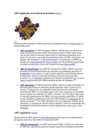 áCido Ribonucleico