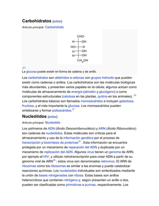 Carbohidratos [editar]
Artículo principal: Carbohidrato

La glucosa puede existir en forma de cadena y de anillo.

Los carbohidratos son aldehídos o cetonas con grupos hidroxilo que pueden
existir como cadenas o anillos. Los carbohidratos son las moléculas biológicas
más abundantes, y presentan varios papeles en la célula; algunos actúan como
moléculas de almacenamiento de energía (almidón y glucógeno) o como
componentes estructurales (celulosa en las plantas, quitina en los animales). 33
Los carbohidratos básicos son llamados monosacáridos e incluyen galactosa,
fructosa, y el más importante la glucosa. Los monosacáridos pueden
sintetizarse y formar polisacáridos.37

Nucleótidos [editar]
Artículo principal: Nucleótido

Los polímeros de ADN (Ácido Desoxirribonucléico) y ARN (Ácido Ribonucléico)
son cadenas de nucleótidos. Estas moléculas son críticas para el
almacenamiento y uso de la información genética por el proceso de
transcripción y biosíntesis de proteínas33 . Esta información se encuentra
protegida por un mecanismo de reparación del ADN y duplicada por un
mecanismo de replicación del ADN. Algunos virus tienen un genoma de ARN,
por ejemplo el HIV, y utilizan retrotranscripción para crear ADN a partir de su
genoma viral de ARN38 ; estos virus son denominados retrovirus. El ARN de
ribozimas como los ribosomas es similar a las enzimas y puede catabolizar
reacciones químicas. Los nucleósidos individuales son sintentizados mediante
la unión de bases nitrogenadas con ribosa. Estas bases son anillos
heterocíclicos que contienen nitrógeno y, según presenten un anillo o dos,
pueden ser clasificadas como pirimidinas o purinas, respectivamente. Los

 